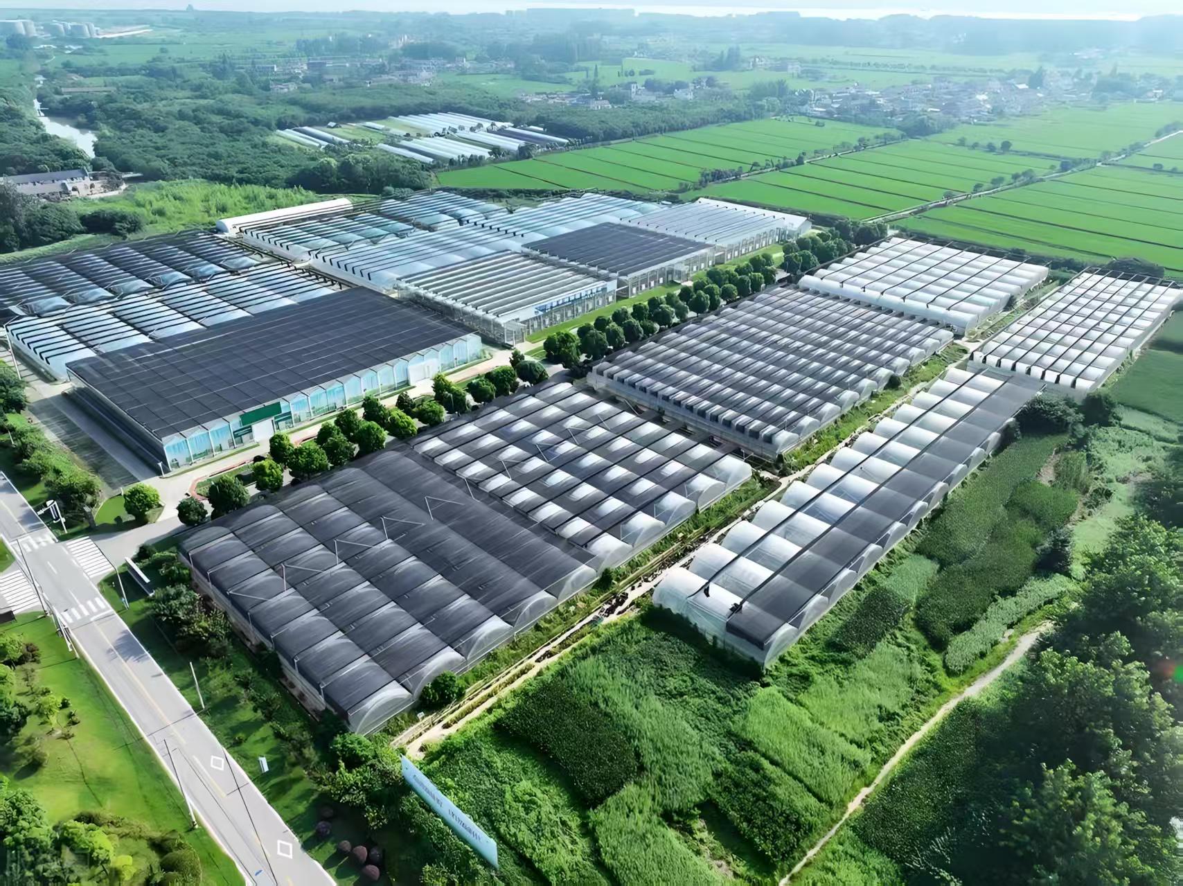 规模化温室项目完工实景