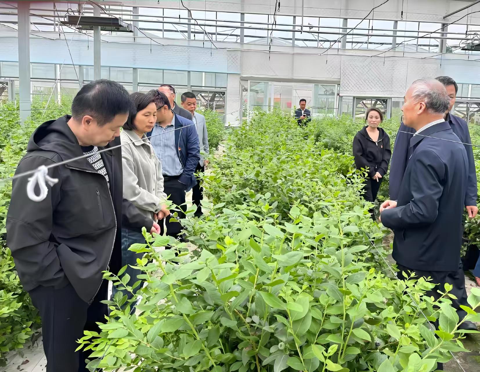 技术人员方案沟通洽谈