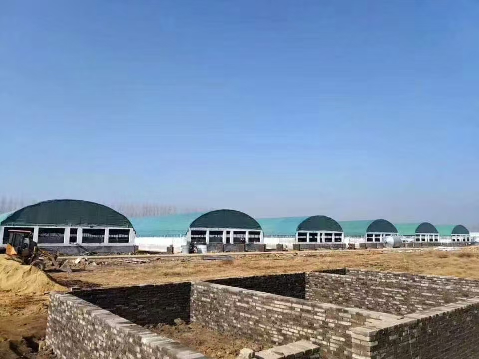 97381496.jpg